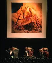 Bouchard Ainé Et Fils image 3