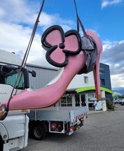 SIGNES DISTINCTIFS image 14