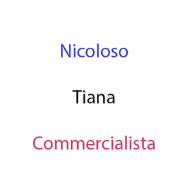 Nicoloso Tiana Commercialista logo