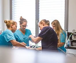 Kleintierpraxis im Moos AG Bild 2