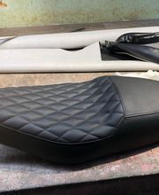 Sellerie Vigneulle image 12