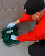 Pied Piper Pest, Termite & Lawn Service image 10
