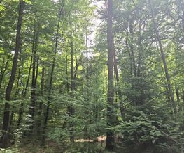 FriedWald Mainhardt Bild 3