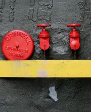 LG Consulting image 1