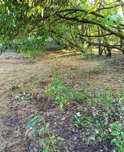 L'instant paysager image 1