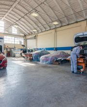 Gallery Professionale