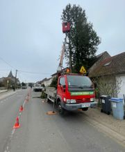 Satory Dylan image 4