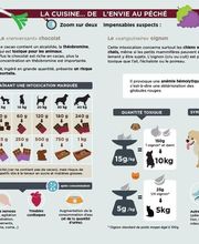 Cabinet Vétérinaire de St-Jean Bild 4