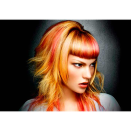 Stile Donna logo