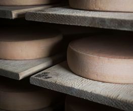 Fromagerie de Martigny SA Bild 4