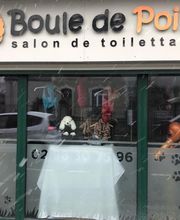 Boule De Poils image 2