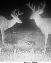 Legend Valley Outfitters image 2