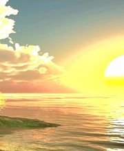 Mercier Alain image 13