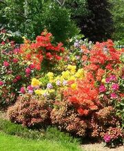 Brunner Paysagiste Bild 8