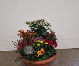 Jardinerie Fleuristerie Hämmerli SNC Bild 6