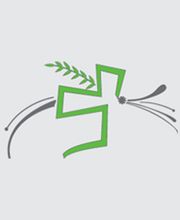 Bestattungen Thomas Jäckel-Thies Bild 1