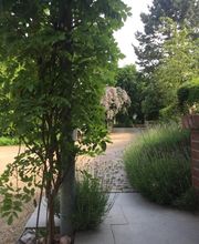 Hajo Rumpf Garten- und Landschaftsbau GmbH Bild 4