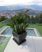 Art & Giardini Sagl Bild 14