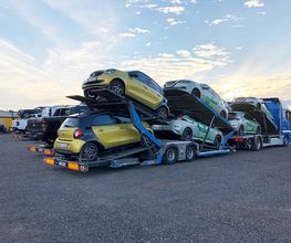 Autotransporte Neumann Bild 5