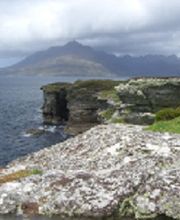 Reisebüro Lüttje Törn Bild 4