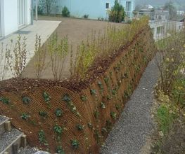Faes Gartenbau GmbH Bild 4