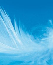 Geneviève Christian image 2