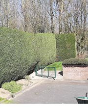 Thurette Paysage image 4