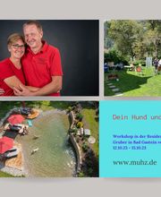 MenschUndHundZentrum Bild 42