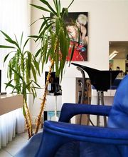 Rieder Haute Coiffure française Bild 1