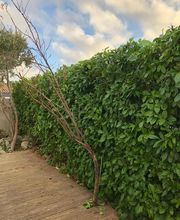 Espaces Verts Occitan image 1