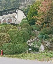 Wistaria Sagl Bild 8