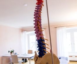 Osteopathie-Praxis Jäggi GmbH Bild 4