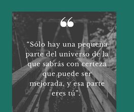 mi terapia online imagen 6