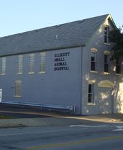 Ellicott Street Animal Hospital image 5