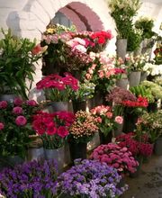 Blumen Huff Inh. Thorsten Huff Bild 6