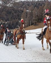 Clalüna-Sils Kutschenfahrten Bild 13