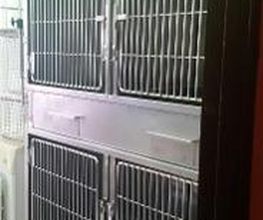 Centro Veterinario Ifach imagen 13