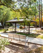 Hairston Woods image 12