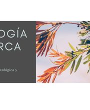 Marilén Garcerán. Psicóloga, sexóloga y terapeuta de pareja. Terapia CC y EMDR. imagen 10
