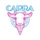 Capra Sauerteigpizzeria - Leipzig-Plagwitz