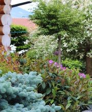 Harmonie paysage sarl Bild 2