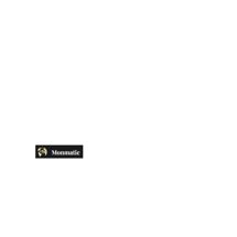 LOGOMONMATIC.png