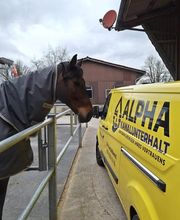 Alpha Kanalunterhalt GmbH Bild 7