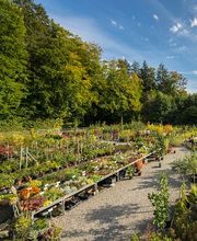 Pflanzencenter Fehr Bild 1