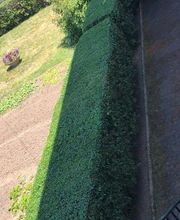 SCHNEIDER ESPACES VERTS image 3
