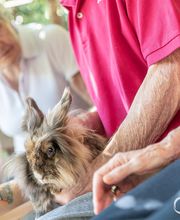 RP Villa Chabod - Gruppo La Villa immagine 9