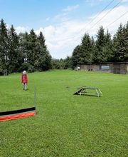 Hundeschule DOGS4LIFE.CH Bild 10