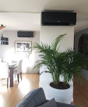 Celsius Vadala image 10