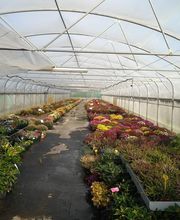 Les Serres de la Menardiere image 7