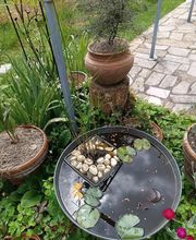 Vert & Beau image 15